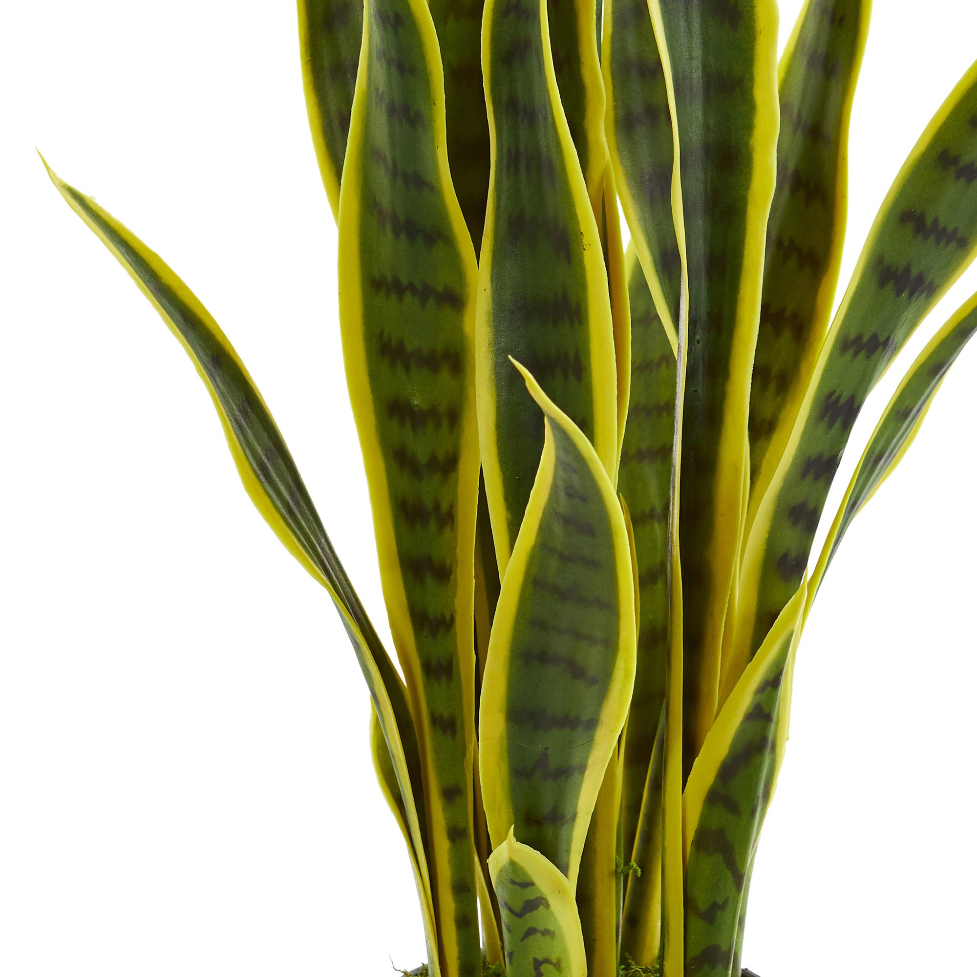 Nearly Natural close-up of striped green and yellow-edged leaf, realistic texture benefits styling