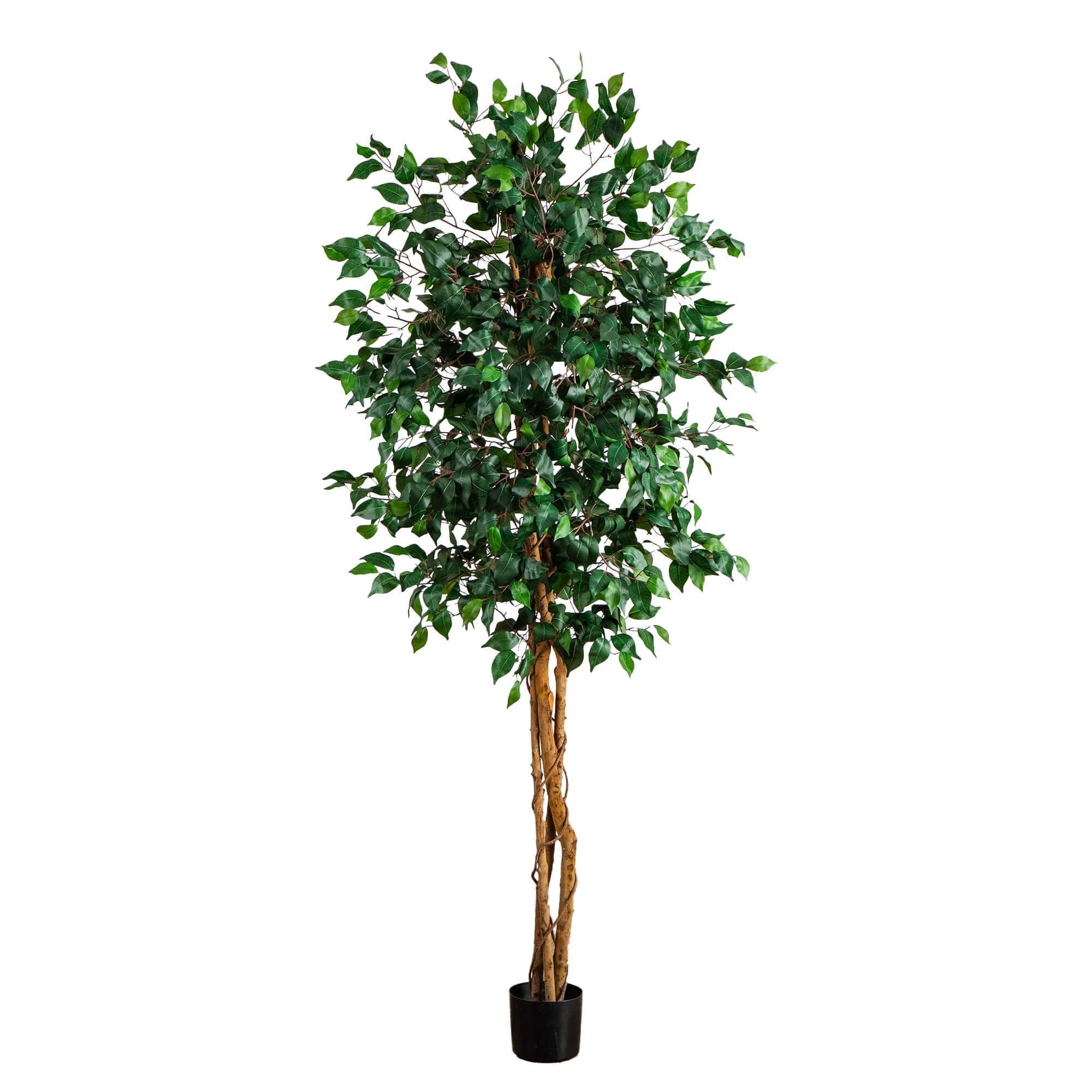 Nearly Natural front view of 74-inch ficus tree showing full canopy and scale benefit