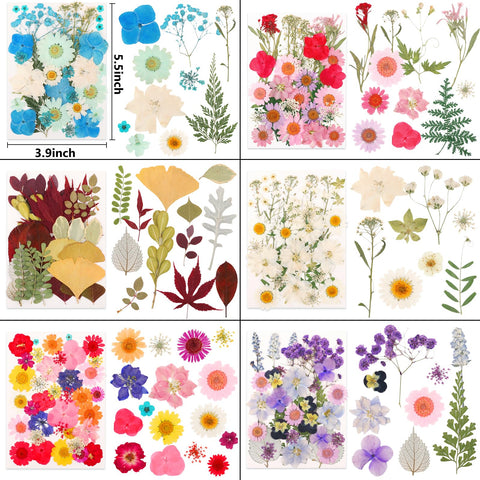 NESCCI flowers embedded in resin coaster demonstrating decorative use