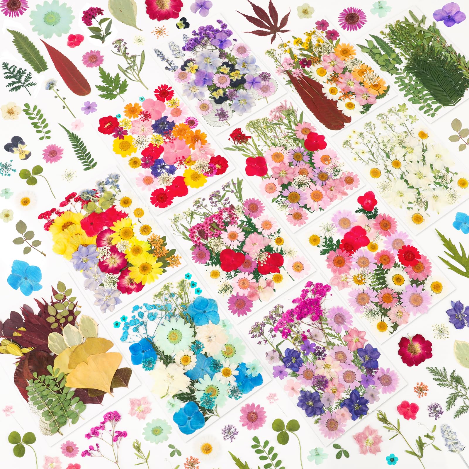 NESCCI front packaging showing full pressed flower kit and variety