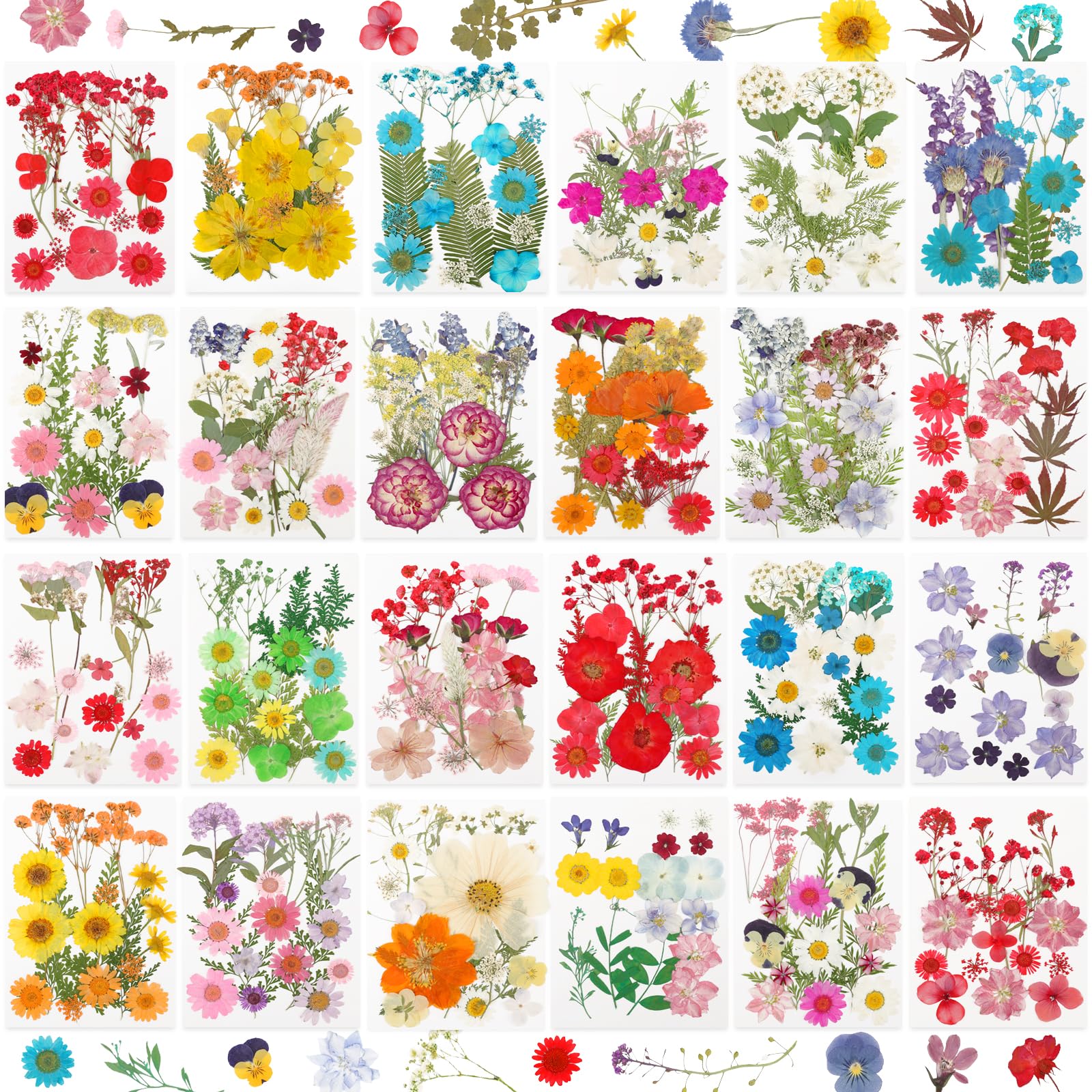 NESCCI front packaging showing full 428-piece pressed flower set and benefits
