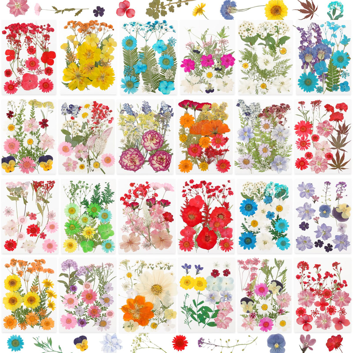 NESCCI front packaging showing full 428-piece pressed flower set and benefits