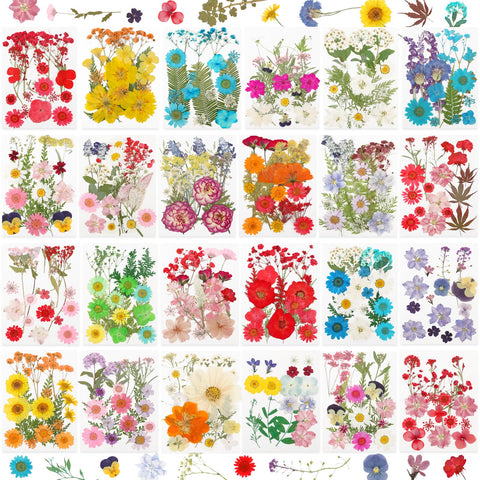 NESCCI front packaging showing full 428-piece pressed flower set and benefits