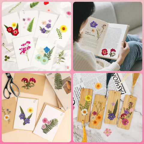 NESCCI sheet detail with assorted pressed flowers for easy selection