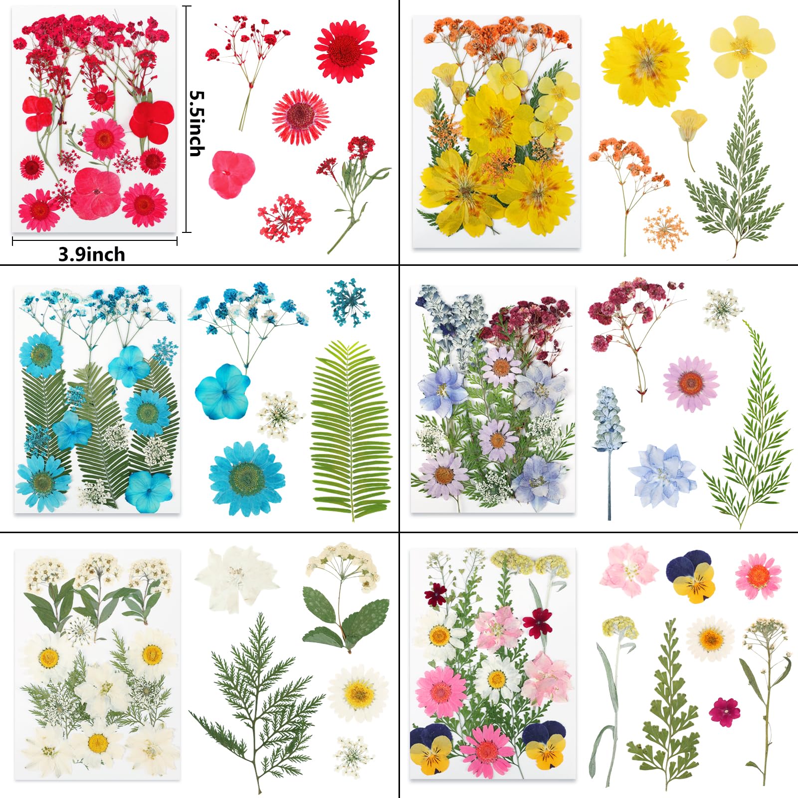 NESCCI close-up of one sheet with varied flowers showing selection clarity