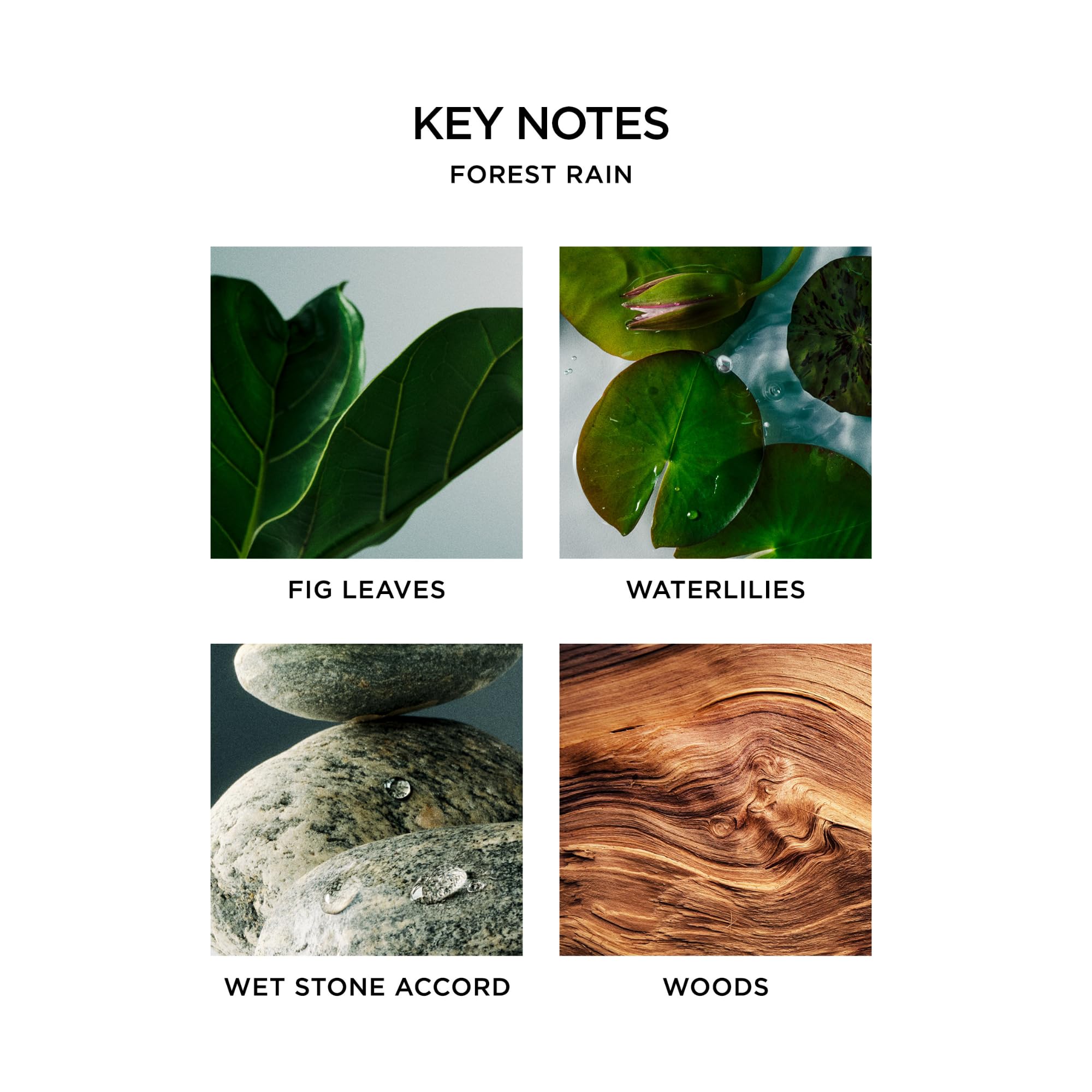 NEST New York lit candle creating cozy, fresh forest rain ambience