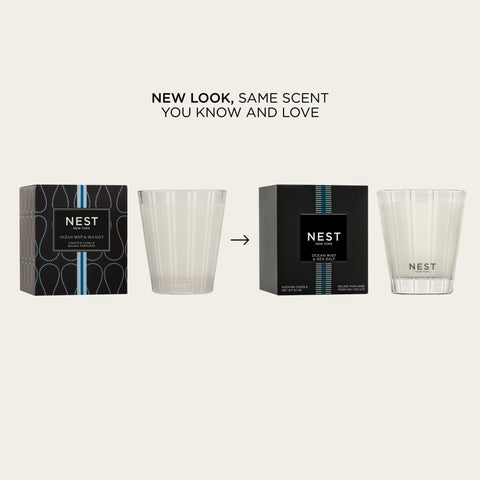 NEST New York frosted glass detail highlighting etched stripes and style