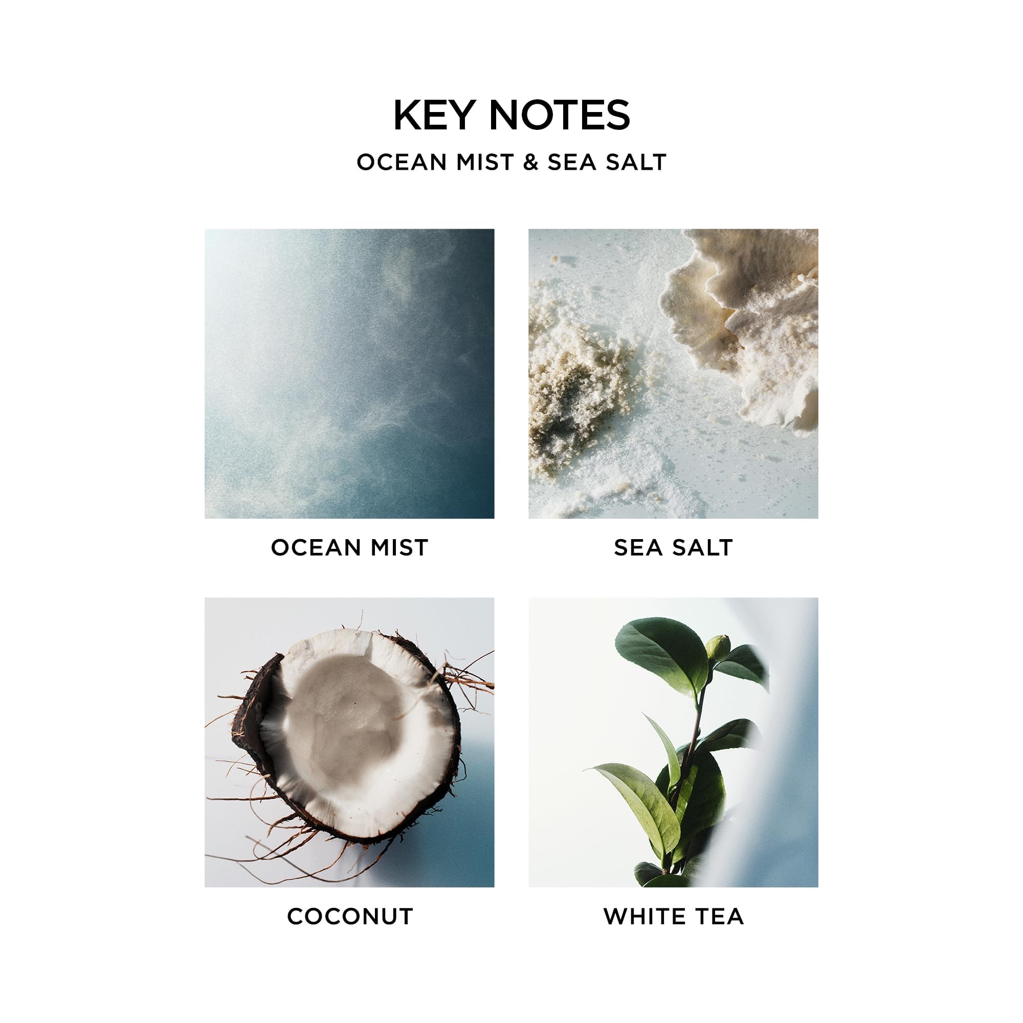 NEST New York melt pool in use showing full fragrance release benefit