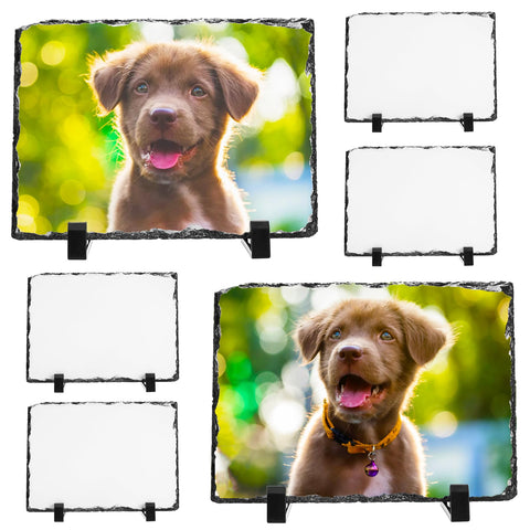 Nicunom front packaging showing six slate frames and stands for easy display