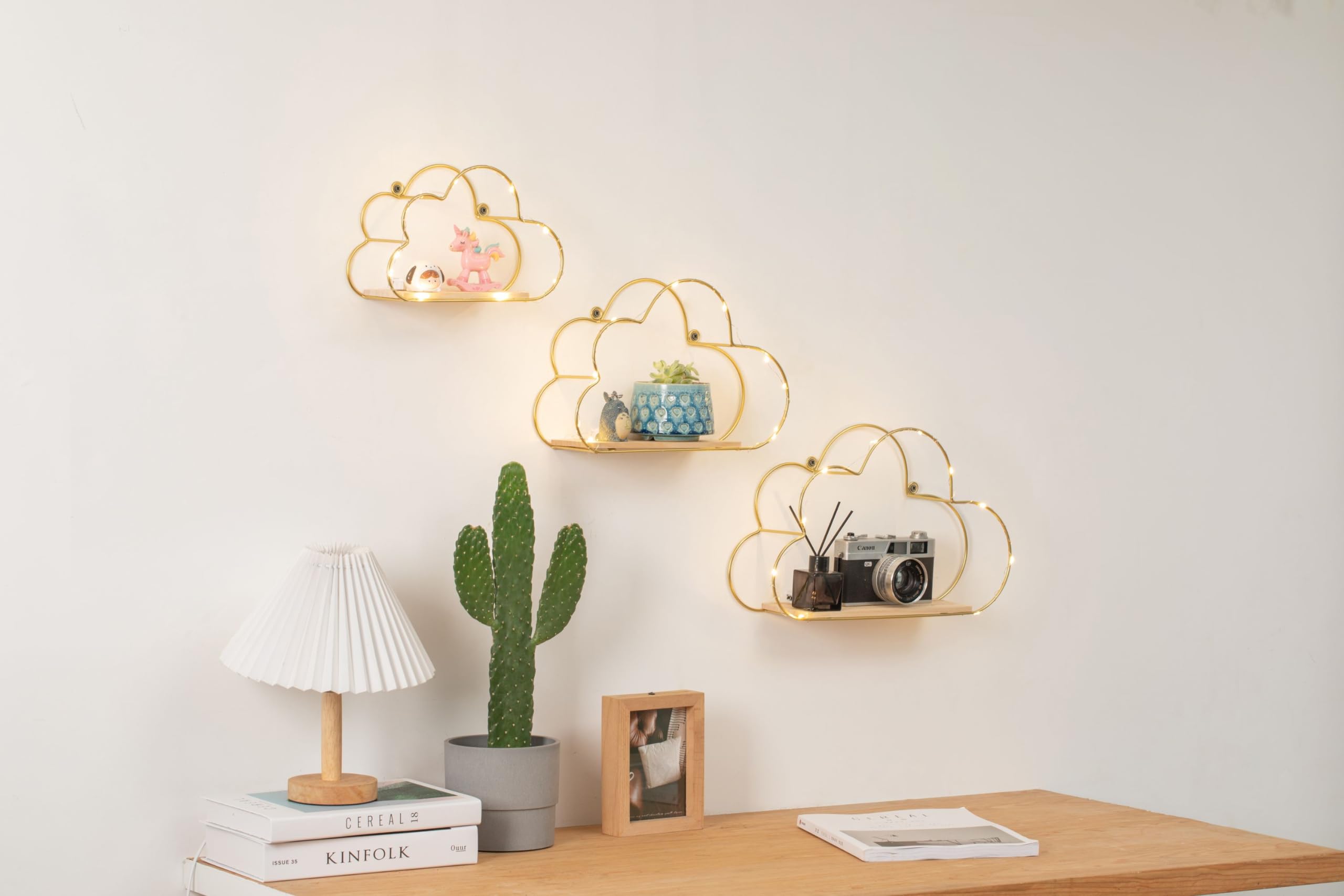 Niemro shelves lit by LEDs showcasing ambient lighting that highlights decor