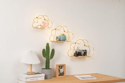 Niemro shelves lit by LEDs showcasing ambient lighting that highlights decor