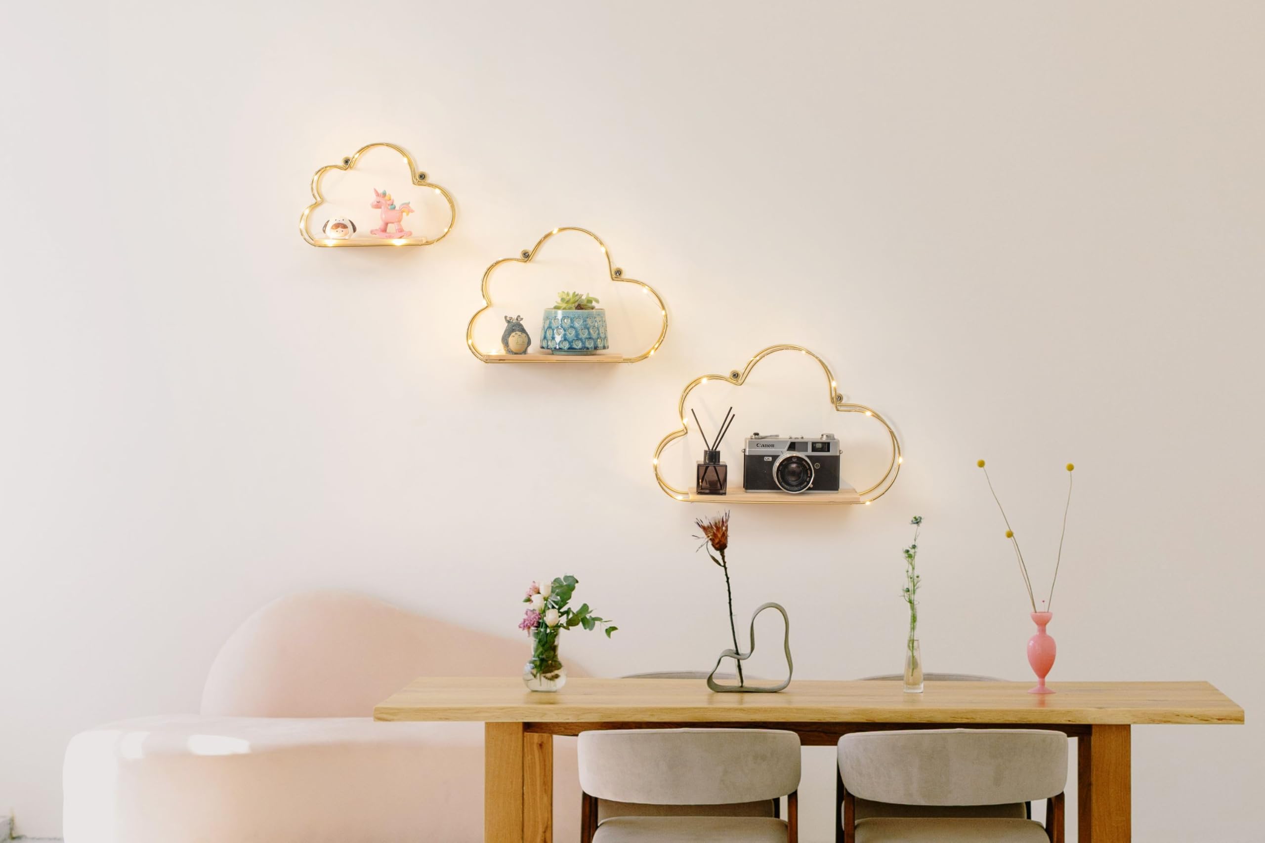 Niemro styled shelves with plants and photos demonstrating decorative display potential