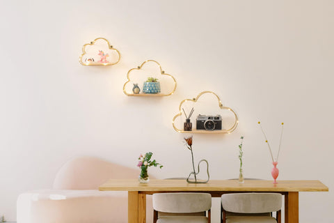 Niemro styled shelves with plants and photos demonstrating decorative display potential