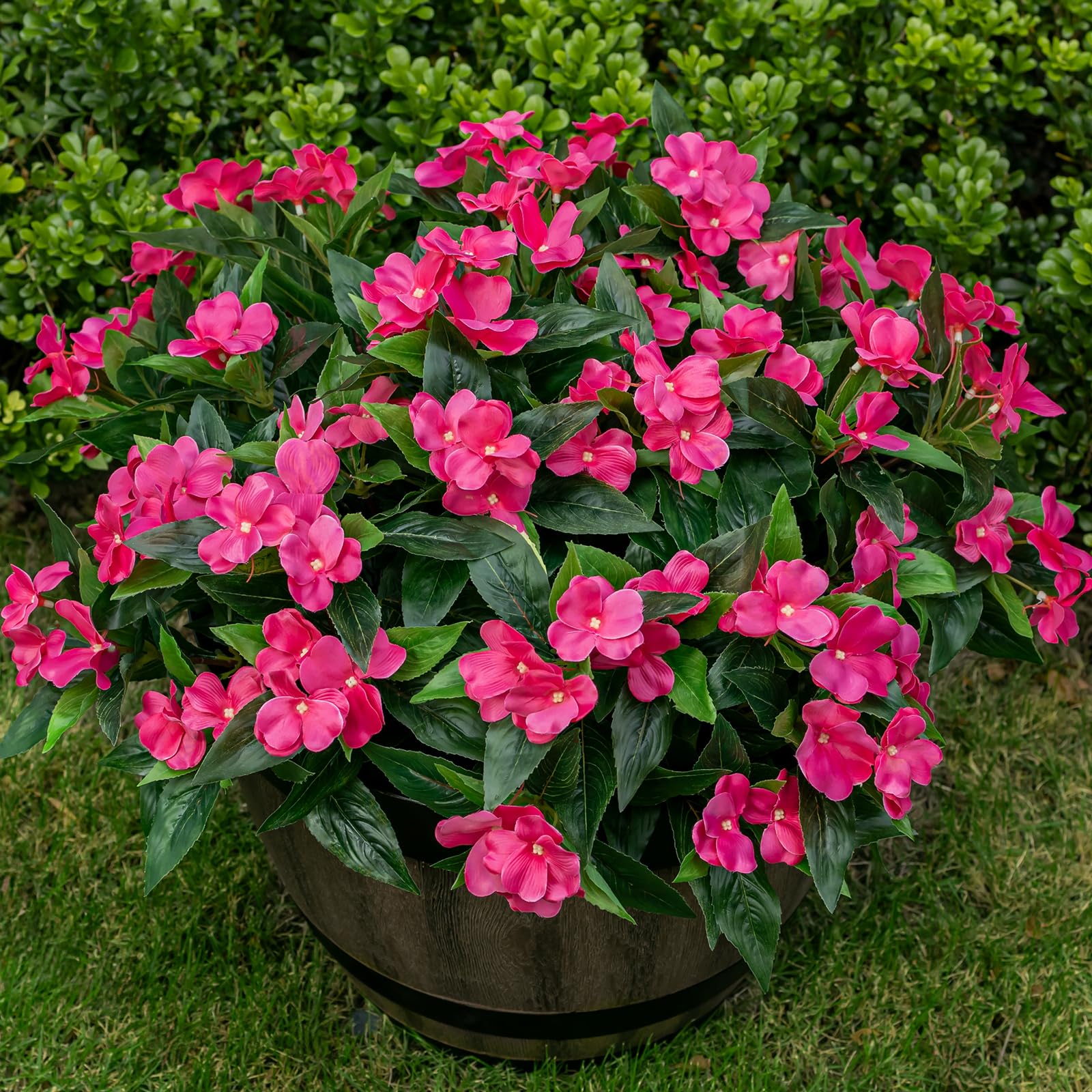 Nigirior front view of six rose-red bundles showing vibrant outdoor-ready blooms