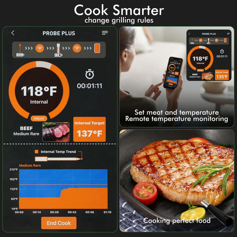 NIGOGOR probe tip close-up showing food-grade construction and precise readings benefit