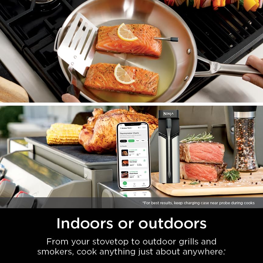 Ninja ProChef probe inserted in steak on grill demonstrating 700°F flareup resistance and accurate reads