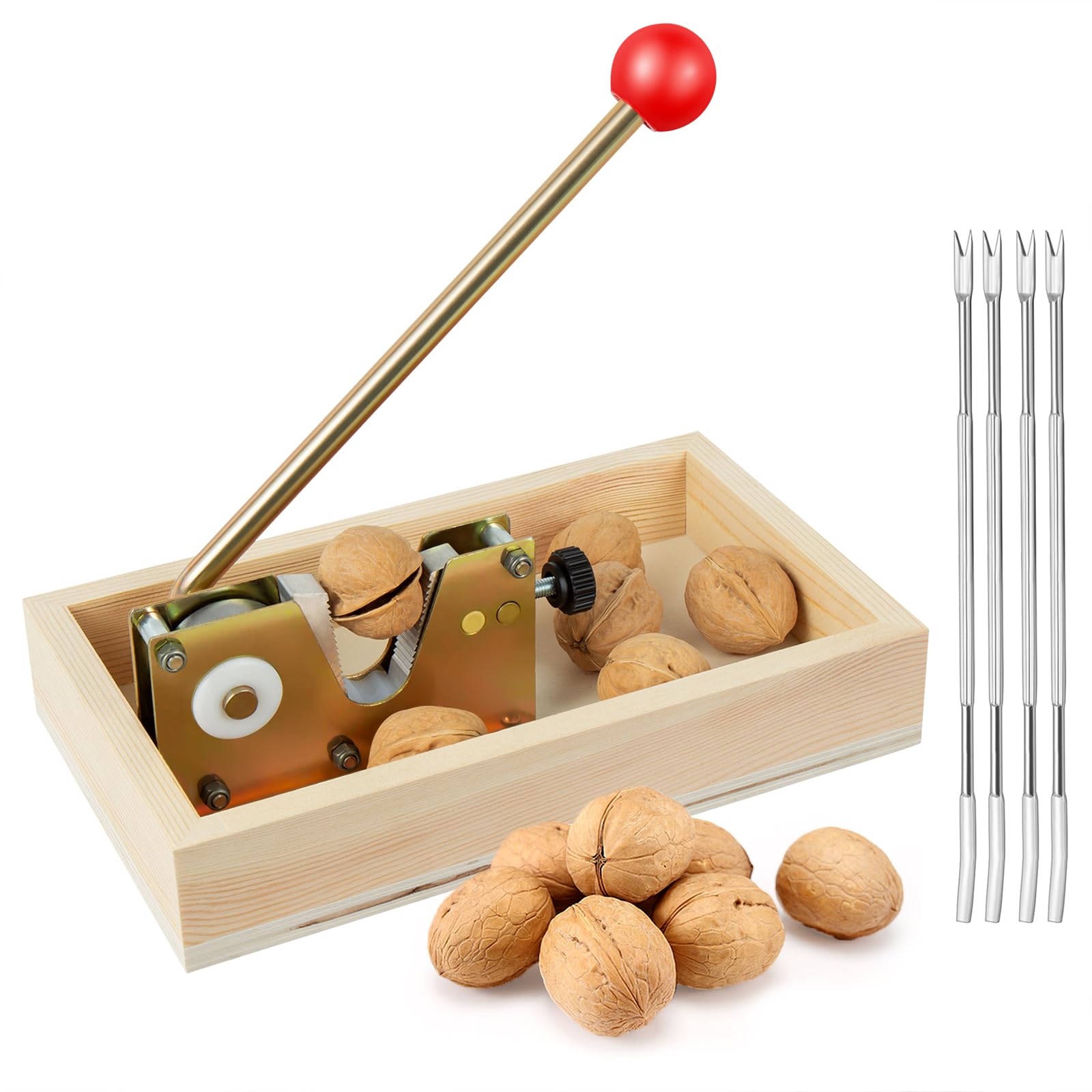 Nizodo front view with wooden box showing clean shell collection benefit