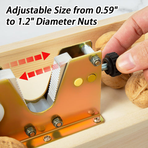 Nizodo next to a walnut for scale showing compact, space-saving size