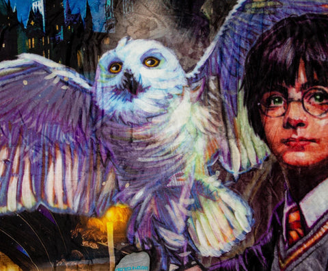 Northwest Harry Potter throw draped on sofa illustrating fan décor and everyday use