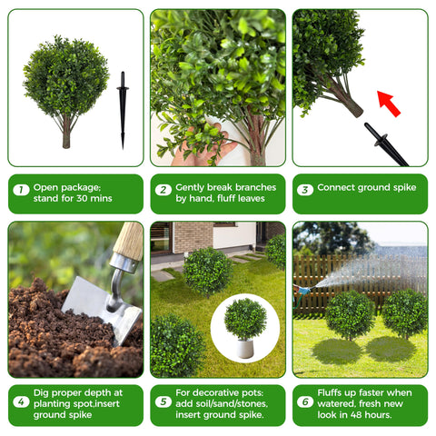 NSOPB single topiary ball placed in terracotta planter offering instant greenery