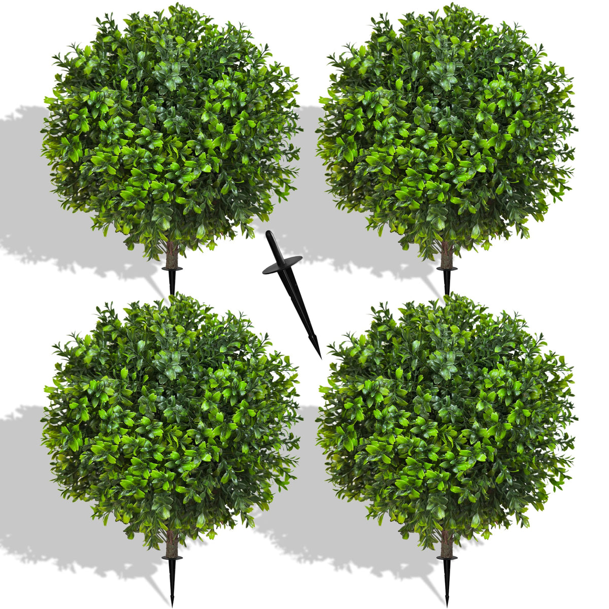 NSOPB front view of four 22-inch topiary balls showing lush foliage and tidy shape
