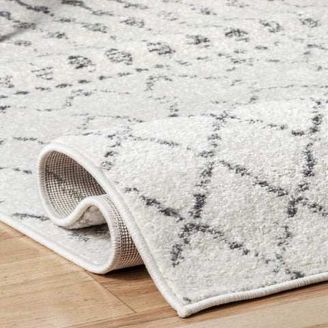 nuLOOM rug in styled living room creating cohesive decor and comfort