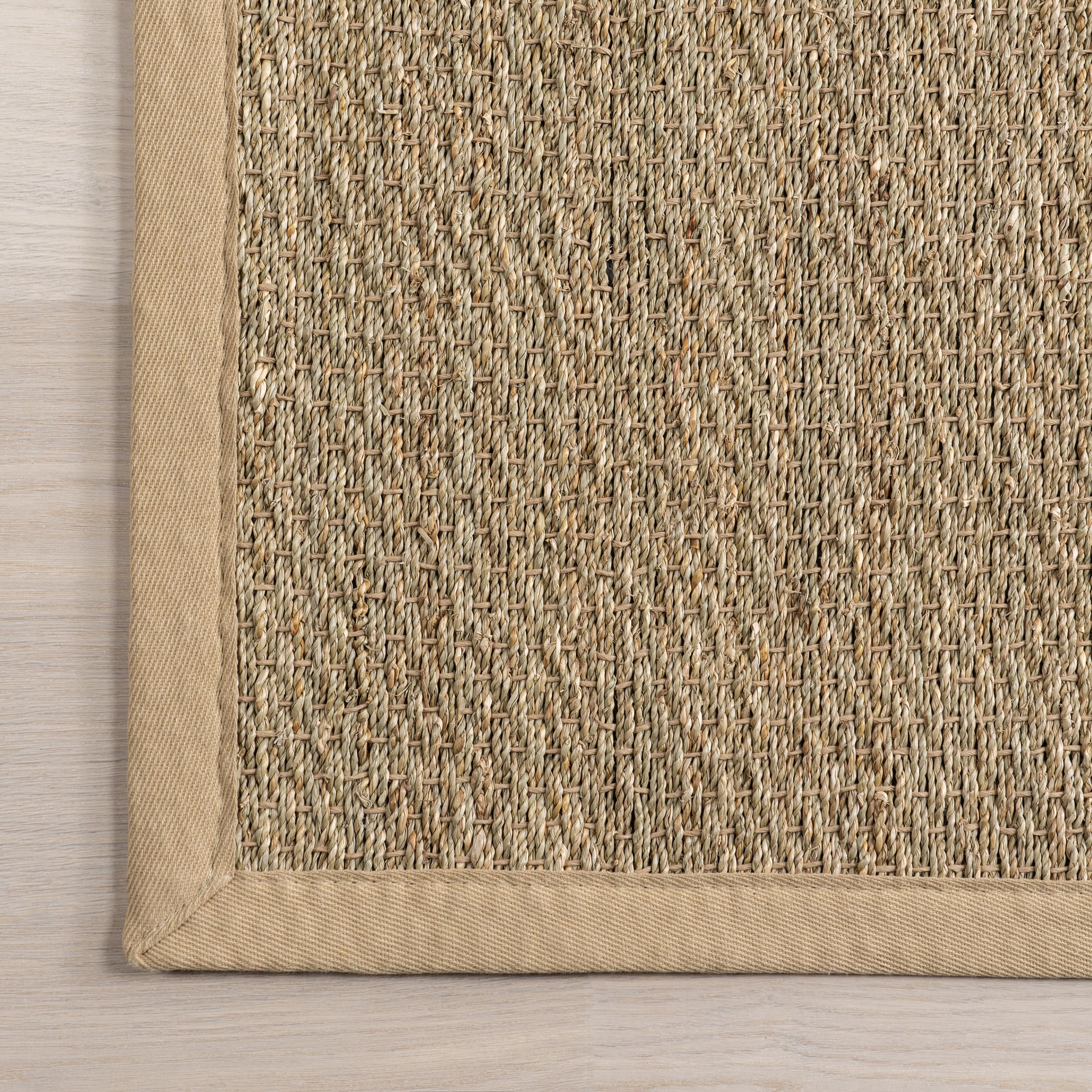 nuLOOM pet-friendly scene with dog on rug, resists wear and is easy to maintain