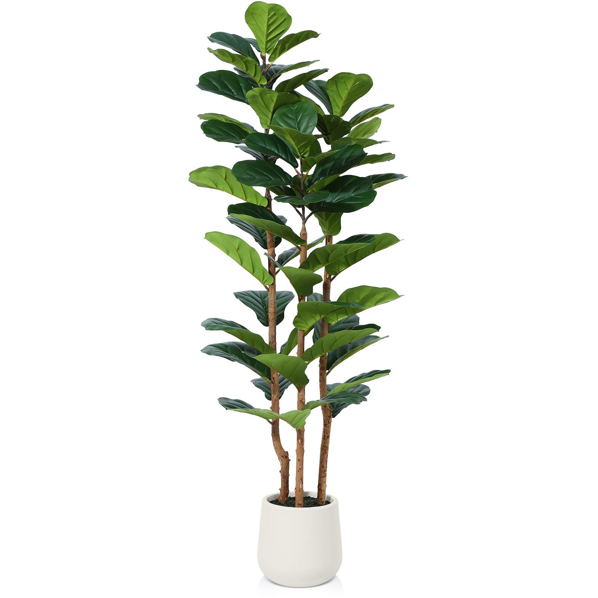 OAKRED front view with white planter showing modern style and stable base