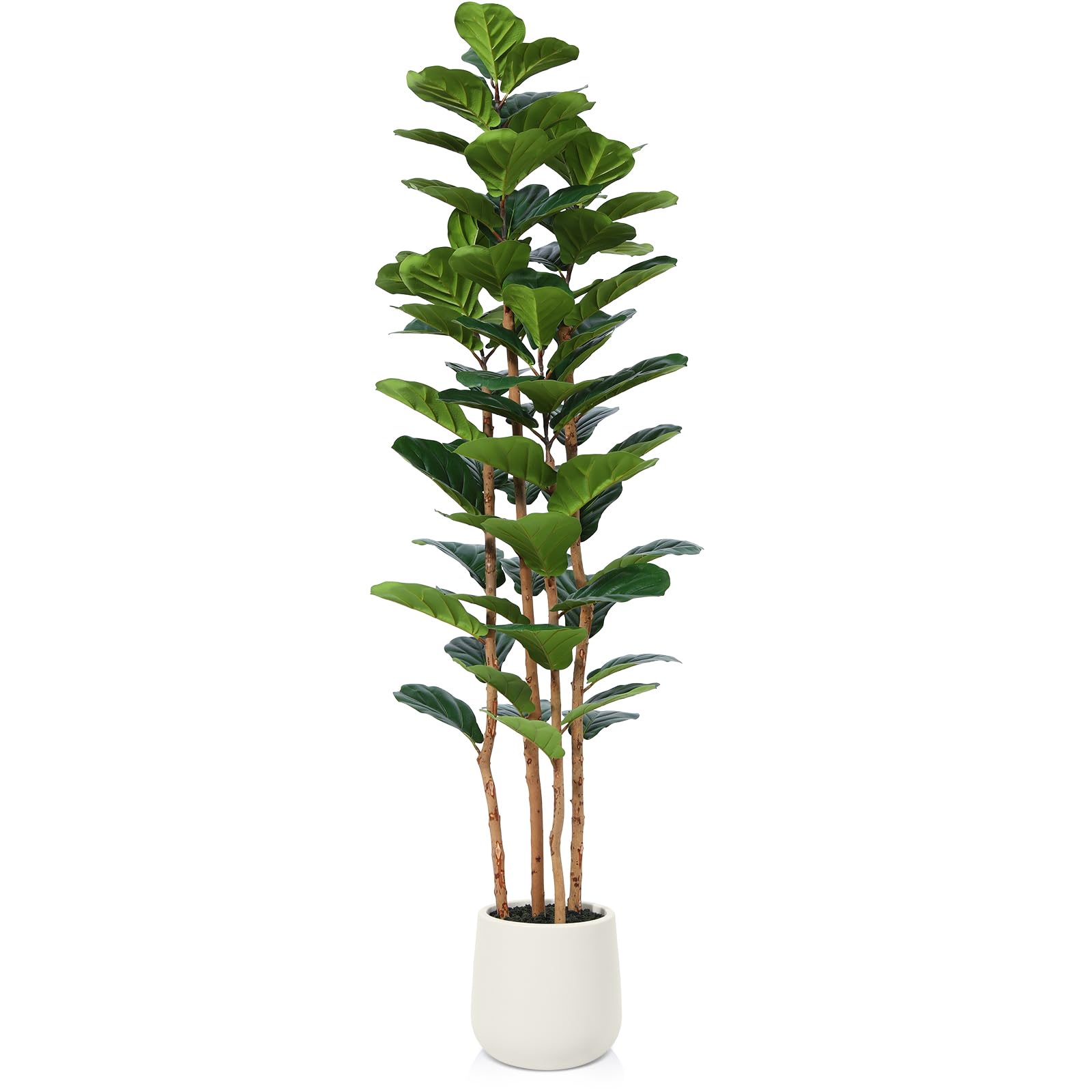 OAKRED fiddle leaf fig front view showing full lifelike presence and instant room greenery