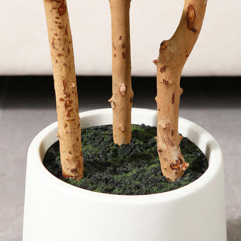 OAKRED tree staged in a living room adding instant greenery and height