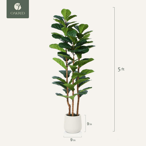 OAKRED next to chair for scale showing five-foot height and proportion