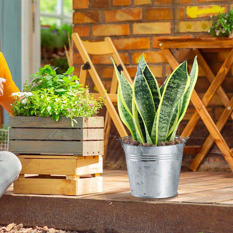 OBTANIM buckets planted with succulents showing decorative gardening benefit