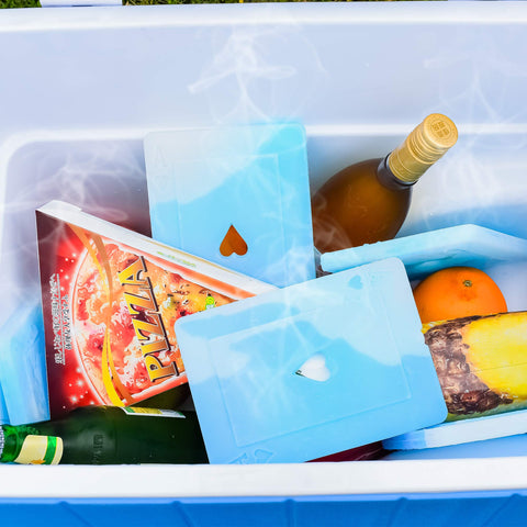 OICEPACK lifestyle picnic layout showing reusable cold convenience