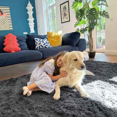 OLANLY rug styled in living room adding warmth and aesthetics