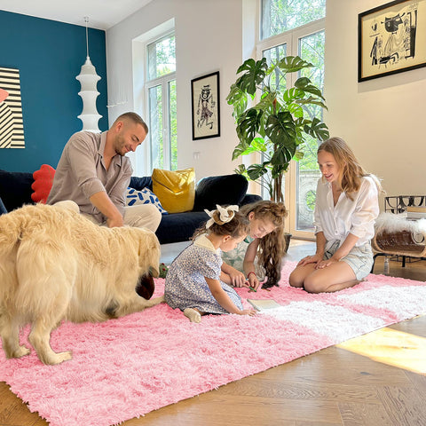OLANLY rug size comparison in living room showing practical scale