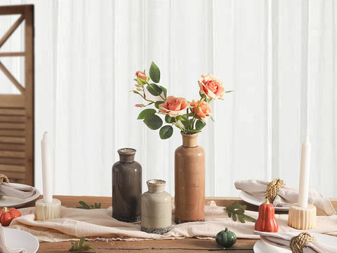 ooit size comparison on table illustrating scale and placement options