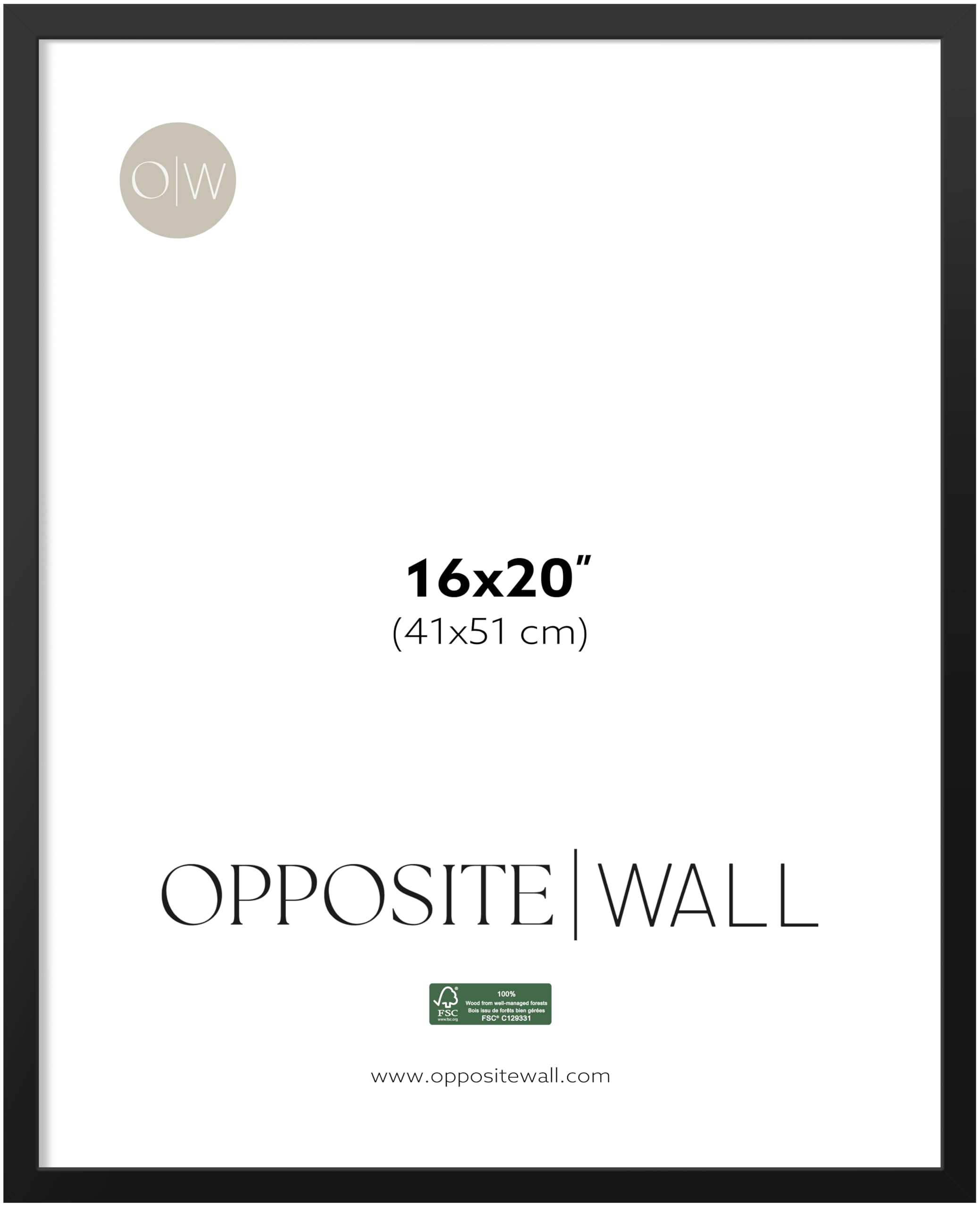 Opposite Wall front view of 16x20 black wood frame showing clean display benefit