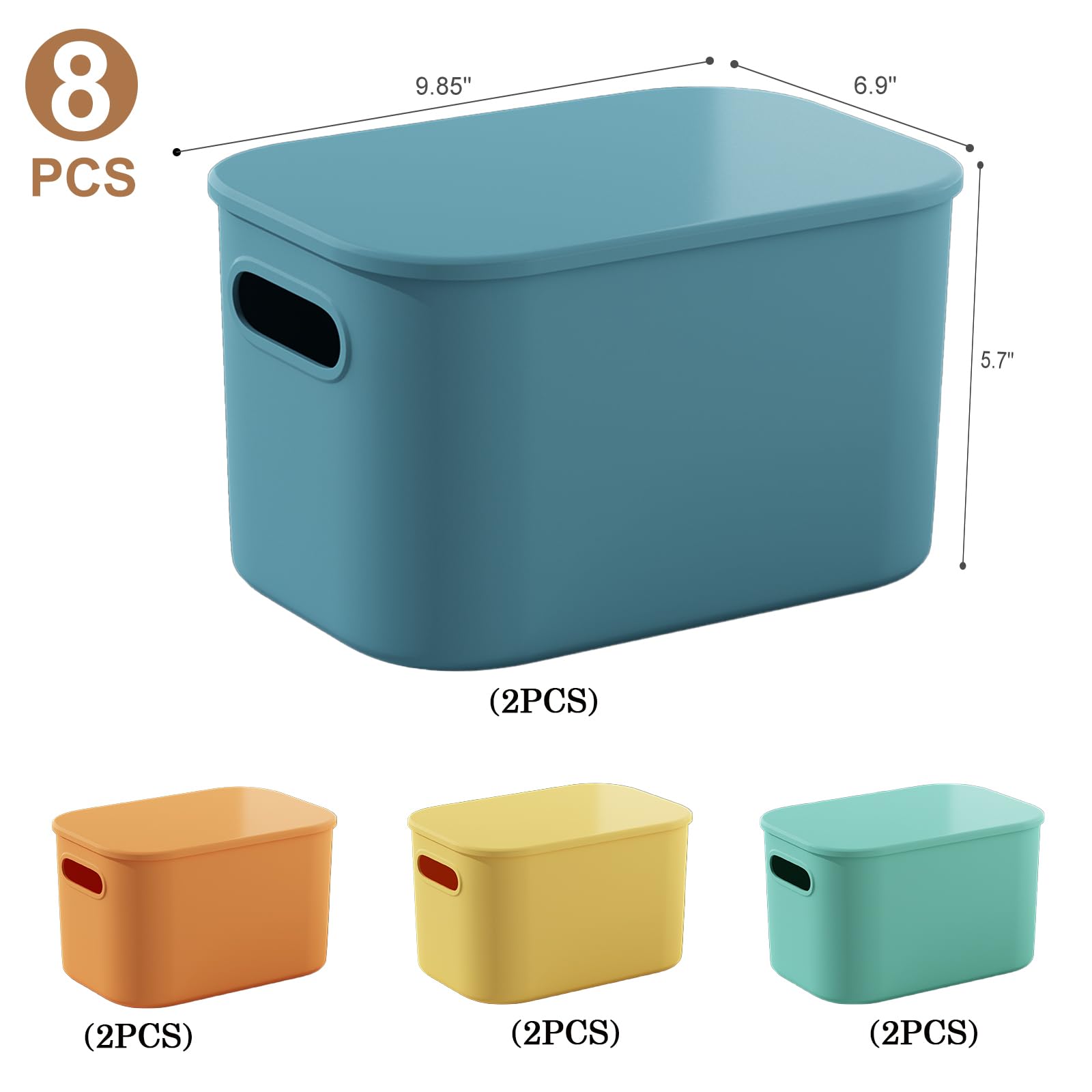 ORGIDOL next to ruler showing 9.85x6.9x5.7 inch scale
