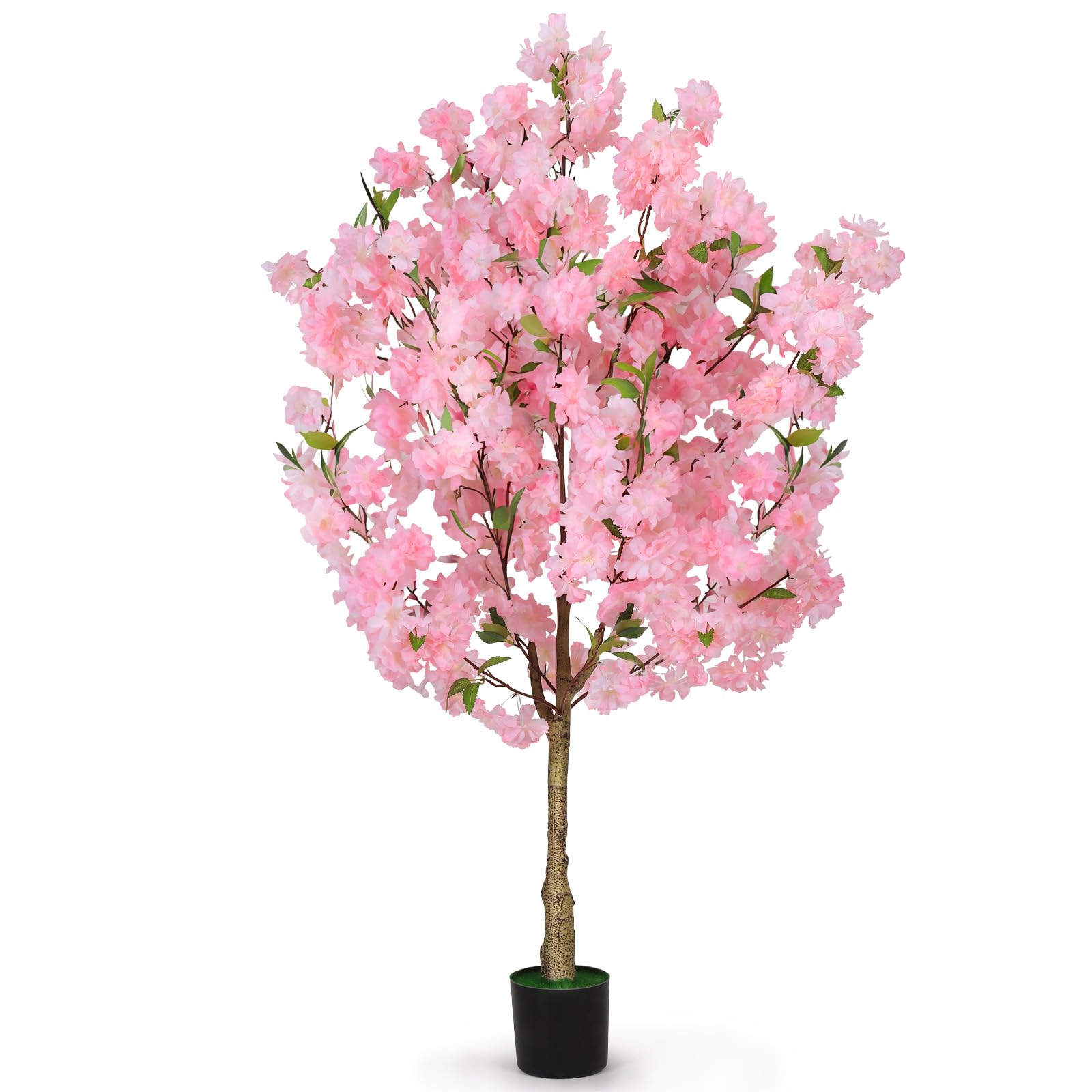 OUSHENG cherry tree front view showing full pink blossoms and instant color