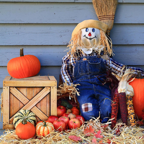 Outus box used as dessert stand to showcase cupcakes and treats