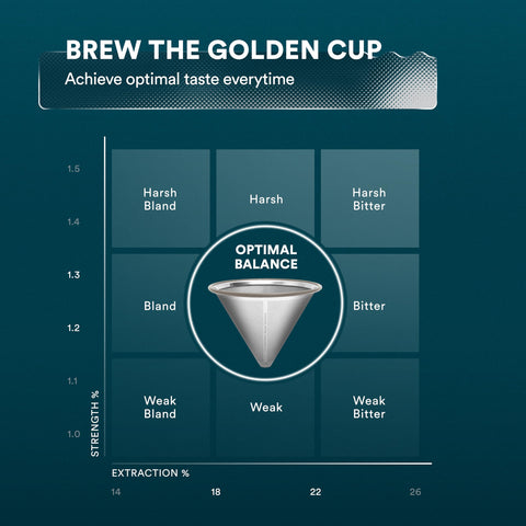 ovalware next to Chemex for scale comparison, shows compatibility benefit