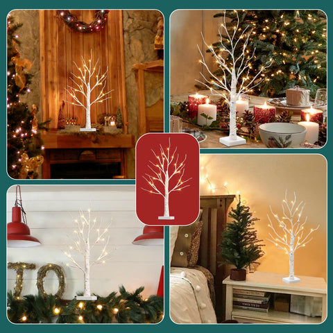 PABIPABI tree lit at night producing soft ambient light for atmosphere