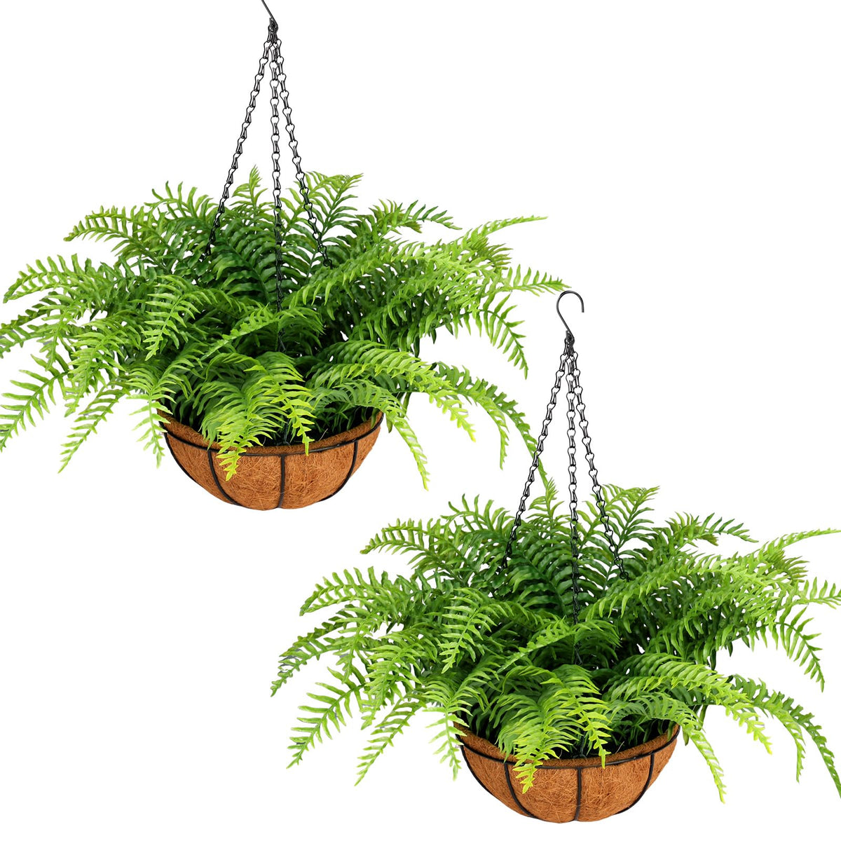 PABREY front view of double hanging fern baskets shows instant curb appeal