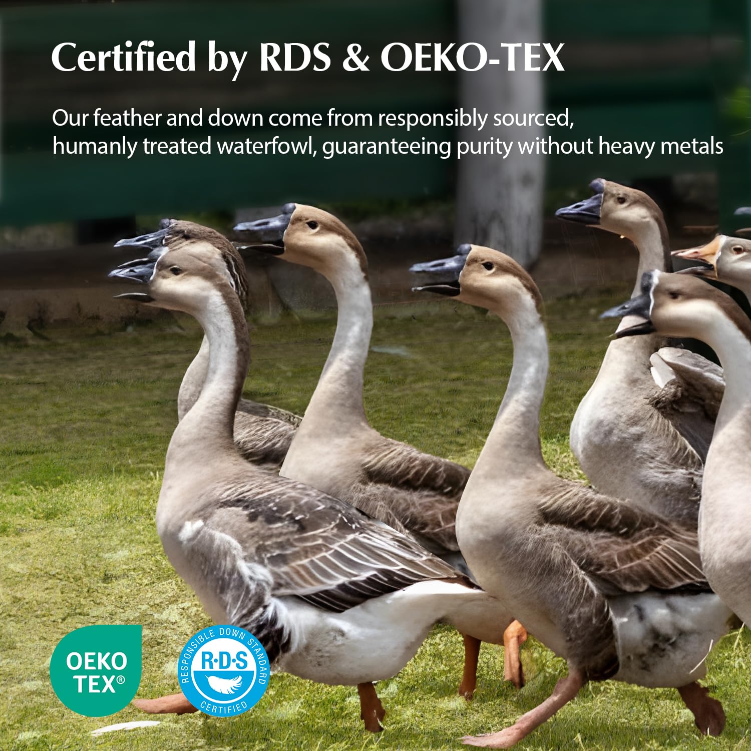 Pacific Coast product label with RDS and OKEO certifications highlighting ethical sourcing