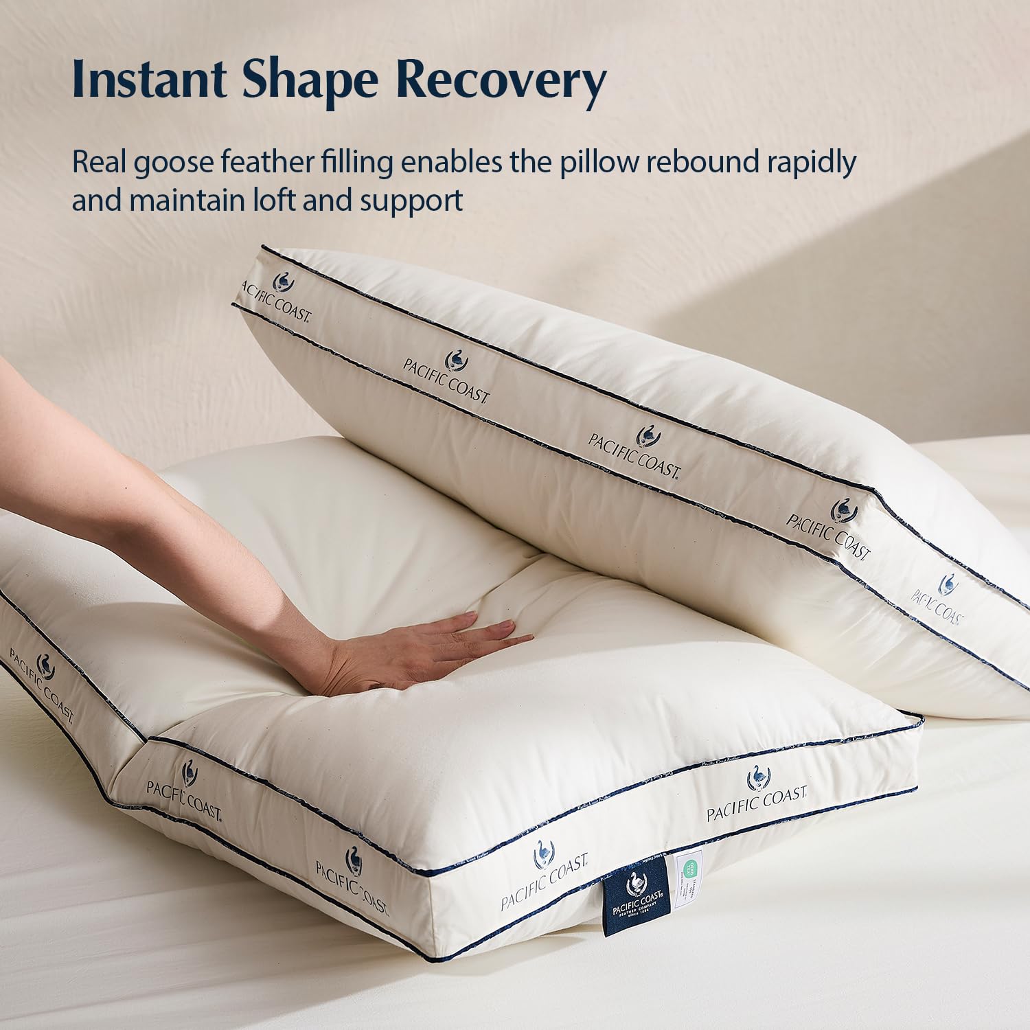 Pacific Coast pillows next to a ruler demonstrating standard size and easy fit on common bedding