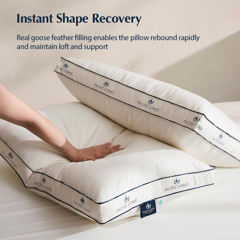 Pacific Coast pillows next to a ruler demonstrating standard size and easy fit on common bedding
