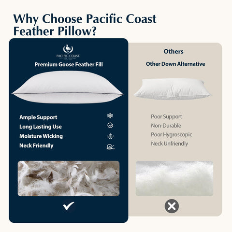 Pacific Coast pillow beside ruler showing standard size and scale