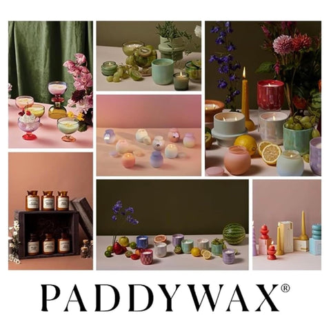 Paddywax reused jar as a planter showing eco-friendly repurposing benefit