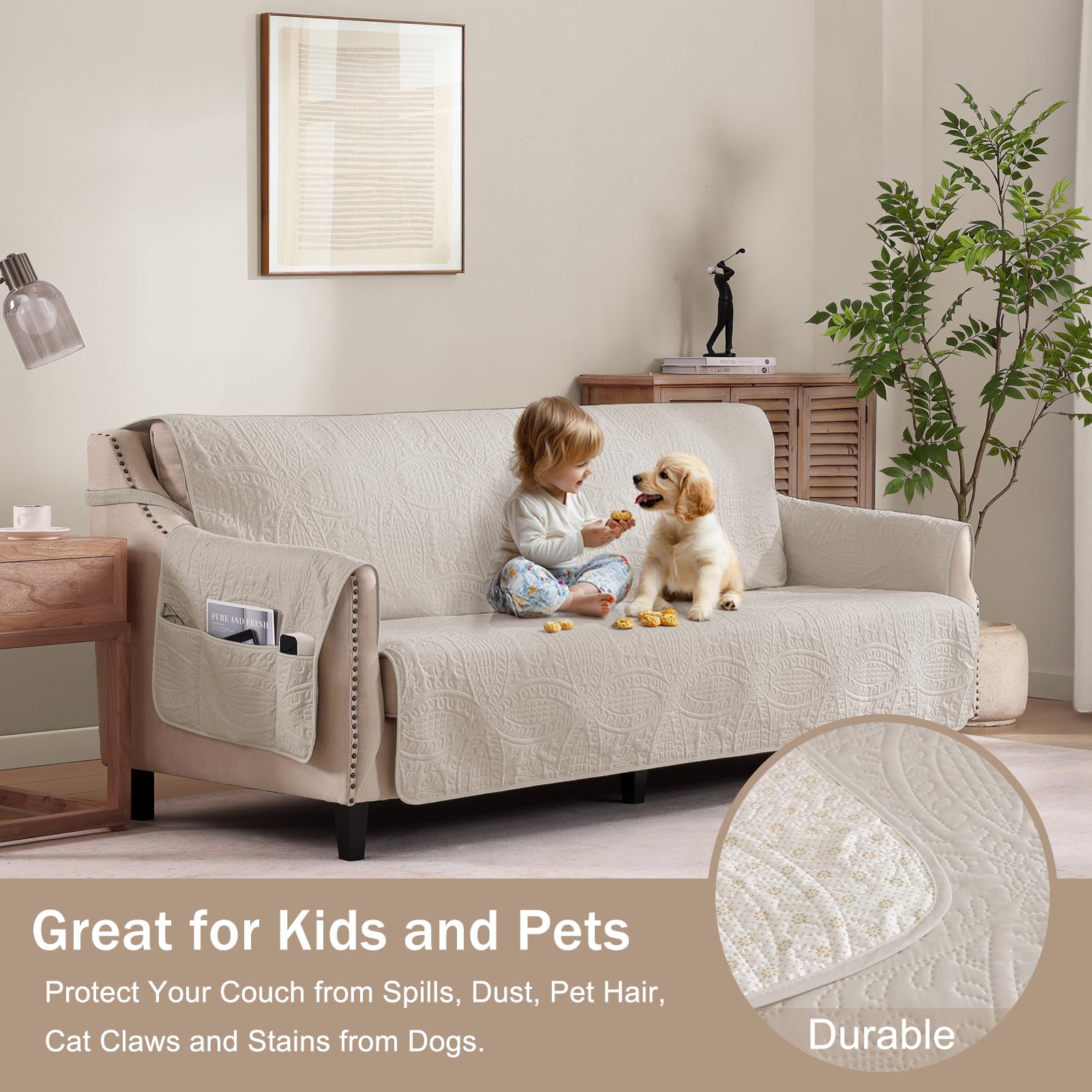 Pamhaven pet sitting on covered sofa benefit: pet-friendly surface protection