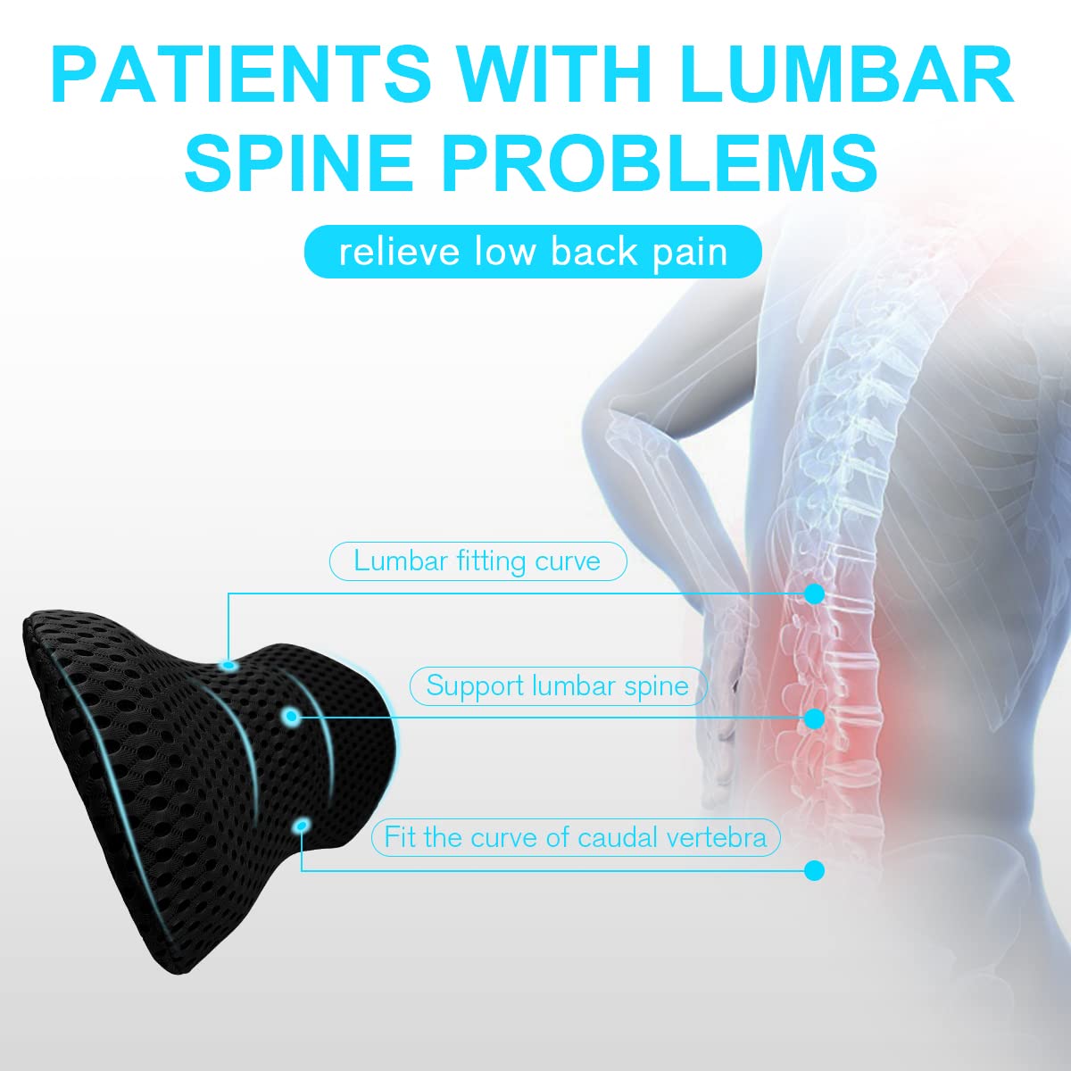 Panduo lumbar pillow fitted in car seat for vibration absorption benefit